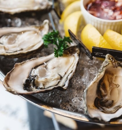 Close up Fresh Oysters.