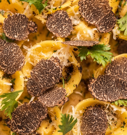 dish of truffle ravioli