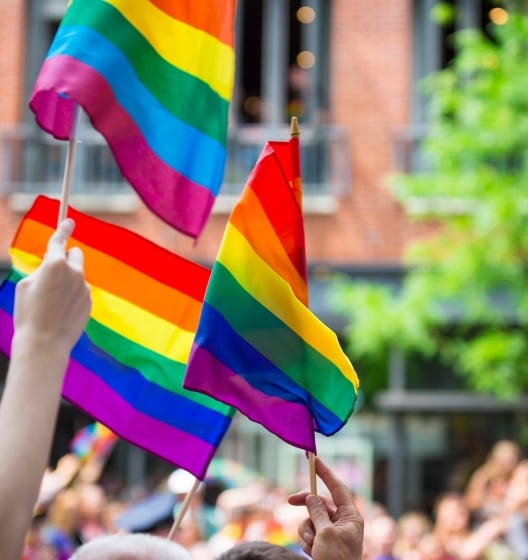 Person waving pride flag in the crowd, celebrating Pride Day in New York.