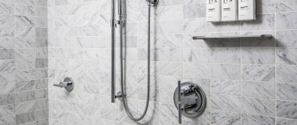 Smyth Hotel room shower with nozzle