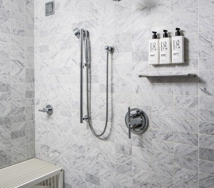 Smyth Hotel room shower with nozzle